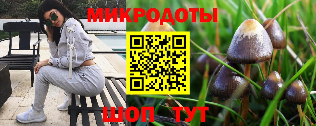 наркота  Вход с VPN  Зерноград  Галлюциногенные грибы Psilocybe 