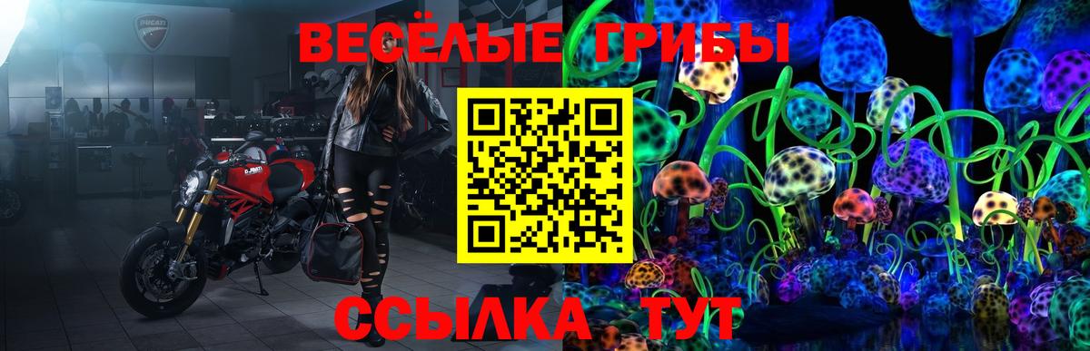 Псилоцибиновые грибы Psilocybe Зерноград